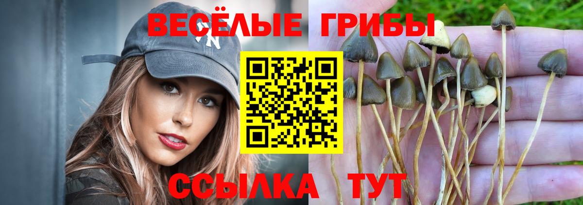 Галлюциногенные грибы ЛСД  Псилоцибиновые грибы мухоморы  Вход с VPN  Новоалтайск 